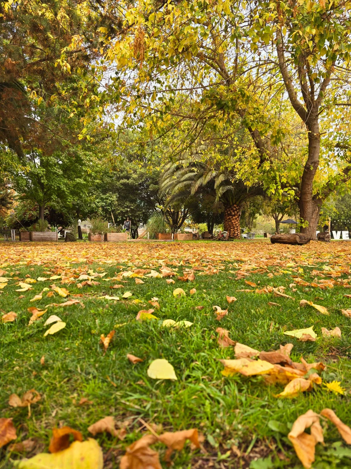 Vista amplia de los jardines